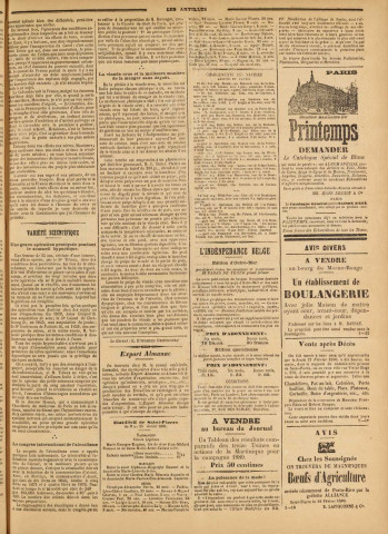 Les Antilles (1890, n° 16)