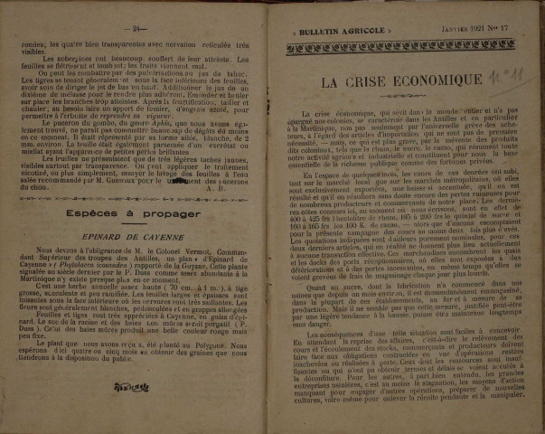 Bulletin agricole de la Martinique (janvier 1921)