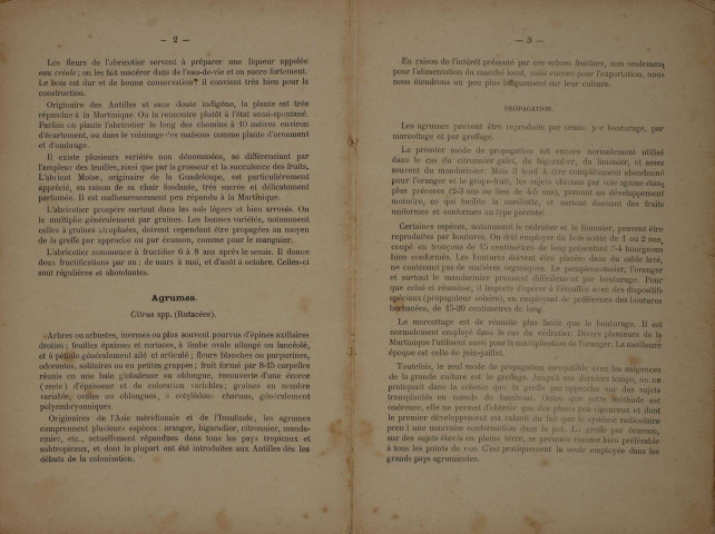 Bulletin agricole de la Martinique (mars 1937)