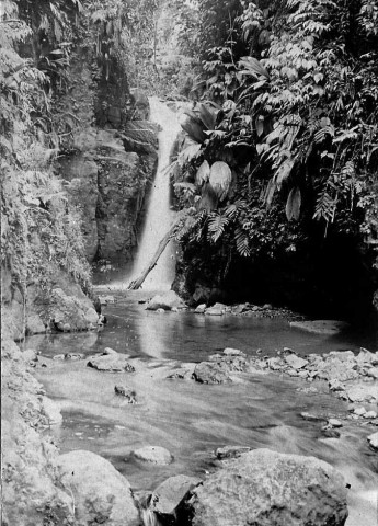 Fort-de-France et ses environs. Cascade d'Absalon