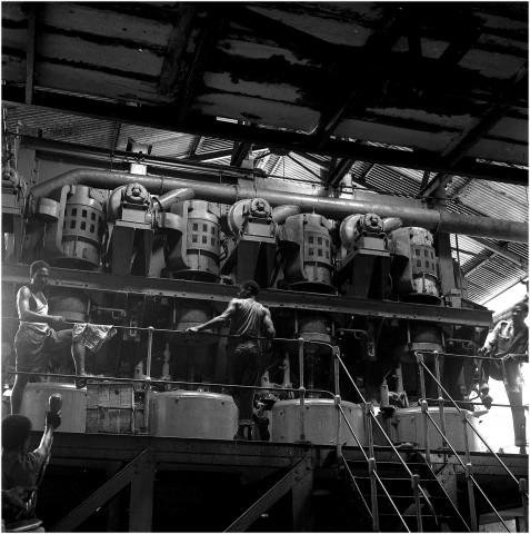 Industrie. Processus de fabrication du sucre de canne de l'arrivée des camions à la transformation du produit en vesou