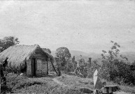 Fort-de-France et ses environs. Case en gaulettes recouverte en paille