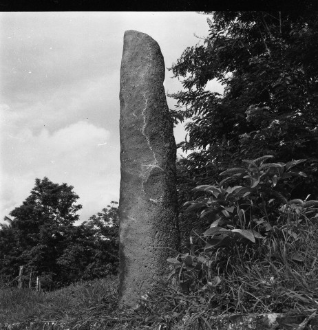 Les Trois-Îlets, habitation La Pagerie. matériel archéologique