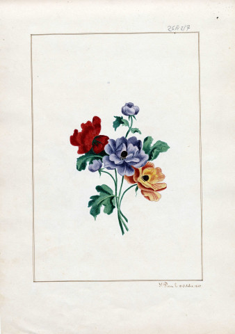 Variété de fleurs