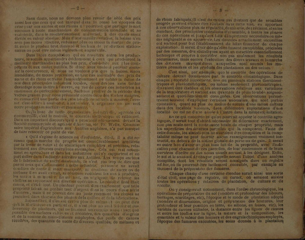 Bulletin agricole de la Martinique (1919, n° 5)