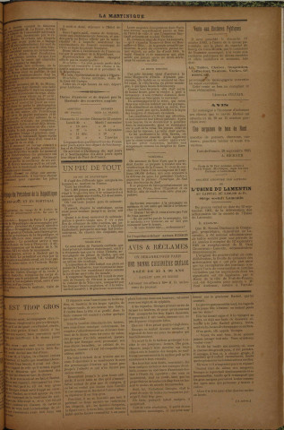 La Martinique (année II, n° 81)