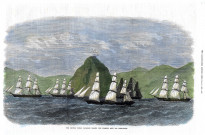 [La flotte Britannique passant près du rocher du Diamant en Martinique]