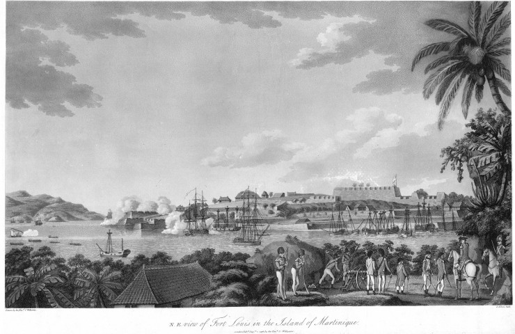 View of Fort Louis in the island of Martinique [Vue du Fort Louis dans l'Isle de Martinique]