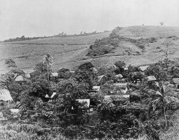 Saint-Pierre. Plantations Saint-James. Vue extérieure du village indien de Saint-James