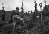 Saint-Joseph, Morne des Olives. Milieu rural : exploitation agricole et portraits d'hommes et de femmes, résidants des campagnes josephines