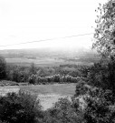 Le Lamentin, milieu rural. paysages végétales