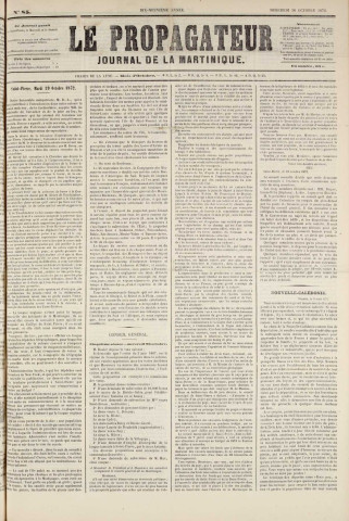 Le Propagateur (1872, n° 85)