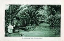 Martinique. Fort de France. Le Jardin d'essai de Tivoli