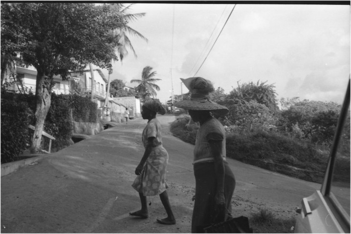 Milieu rural. écosystème tropical ; scène de vie quotidienne