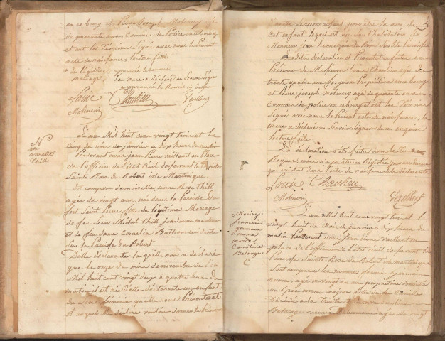 Population blanche et libre : naissances, mariages, décès