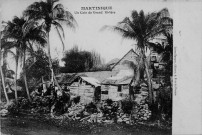 Martinique. Un coin de Grand-Rivière