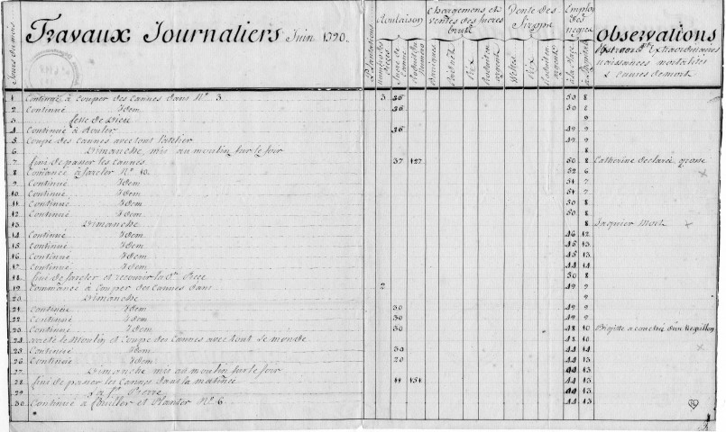 Camp de Louise (Petite-Anse) : état journalier des travaux agricoles exécutés en juin 1790, détails sur les activités journalières et la vie quotidienne des nègres