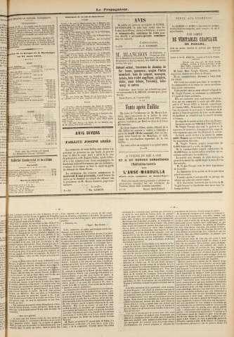 Le Propagateur (1875, n° 29)