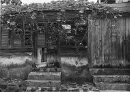 Saint-Esprit : maison abandonnée