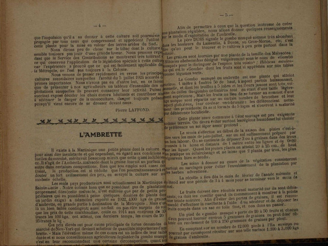 Bulletin agricole de la Martinique (janvier-avril 1925)