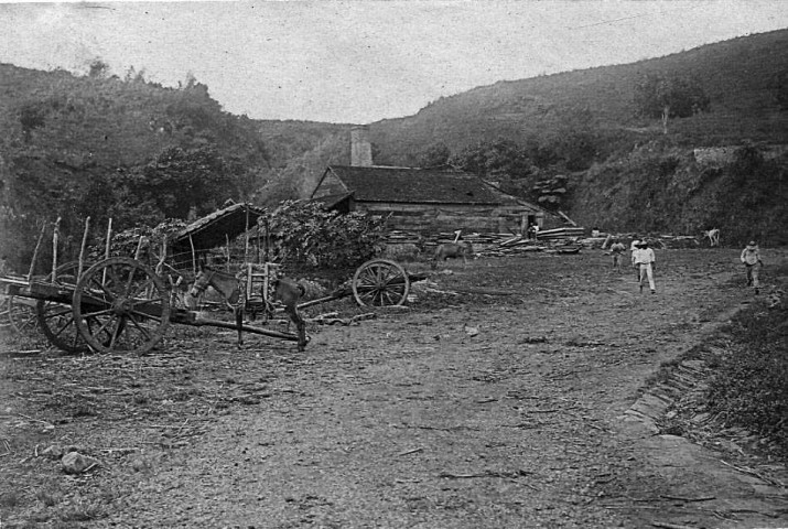 Fort-de-France et ses environs. Groupe d'hommes sur une habitation