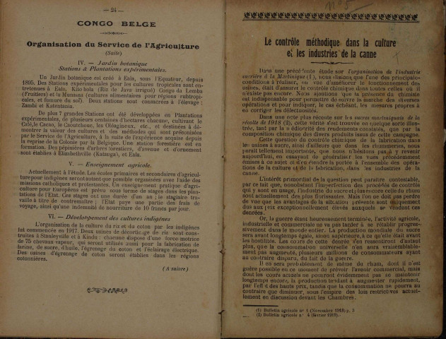Bulletin agricole de la Martinique (1919, n° 5)