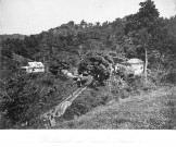 Fort-de-France. Absalon. Etablissement d'eau thermale