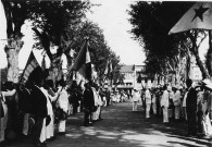 Fort-de-France. Manifestation des anciens combattants sur la Savane