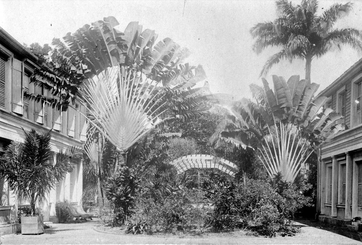 Fort-de-France. Jardin du gouvernement, rue Amiral Gueydon