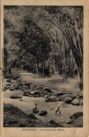 Martinique. Les Bambous de Moutte