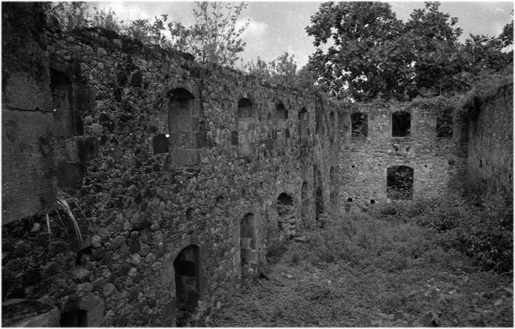 Basse-Pointe, habitation Leyritz. Architecture coloniale avec prise de vue extérieure (jardin, terrasse) et intérieure (salle de séjour, salon), et des vestiges ; manifestation publique sur la sécurité de l'emploi. marche collective