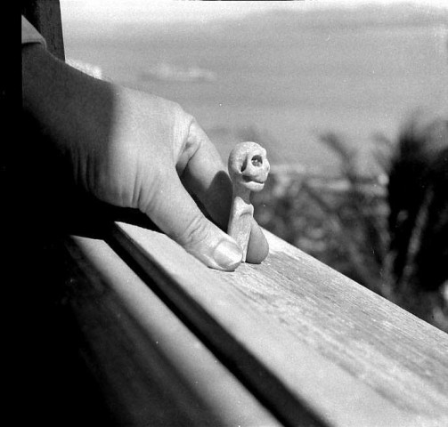 Prêcheur. Spatule de l'Anse Belleville