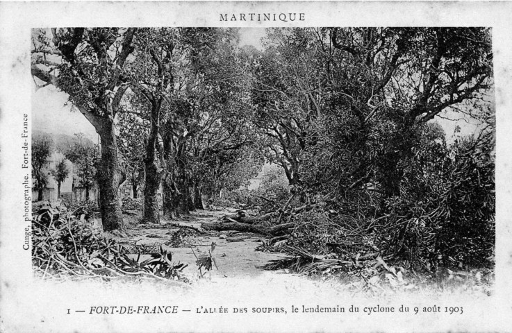 Martinique. Fort-de-France. L'allée des soupirs, le lendemain du cyclone du 9 août 1903