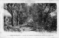 Martinique. Fort-de-France. L'allée des soupirs, le lendemain du cyclone du 9 août 1903