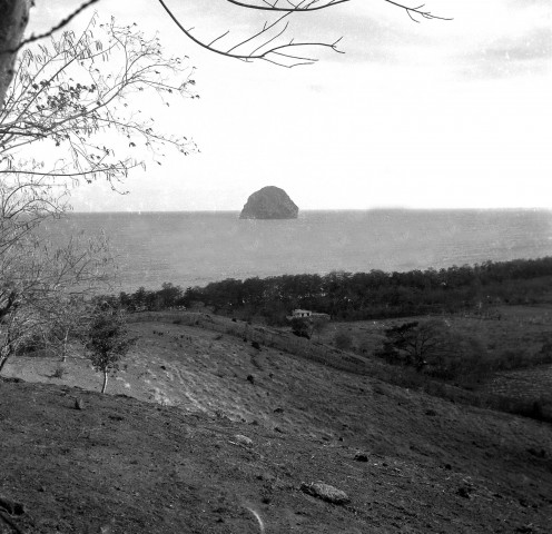 Le Diamant. paysage maritime ; ramassage de noix de coco