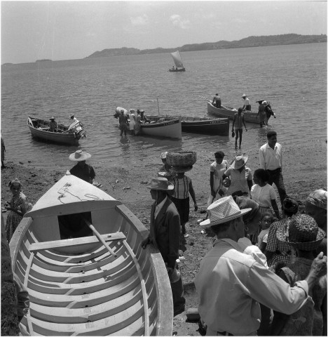 Le Robert, Le Diamant. commune du Diamant : arrivée des pêcheurs attendue sur le rivage par les clients et vente de poissons ; commune du Robert : étales de légumes et de fleurs à ciel ouvert, marchandes et clients